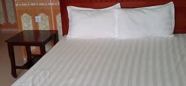 Avi Transit Hotel - photo 4