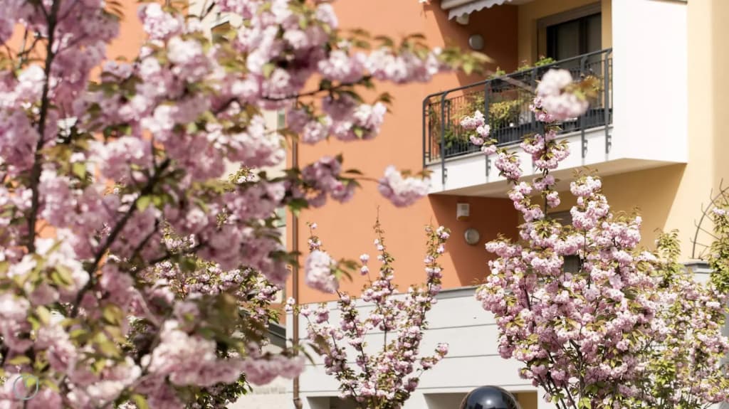 Italianway Easy - Marcantonio dal Re 20 A - photo 8