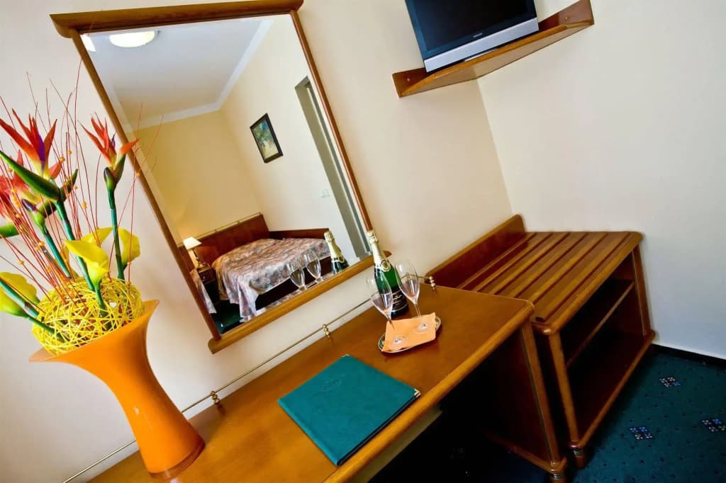 Hotel Melantrich - photo 5