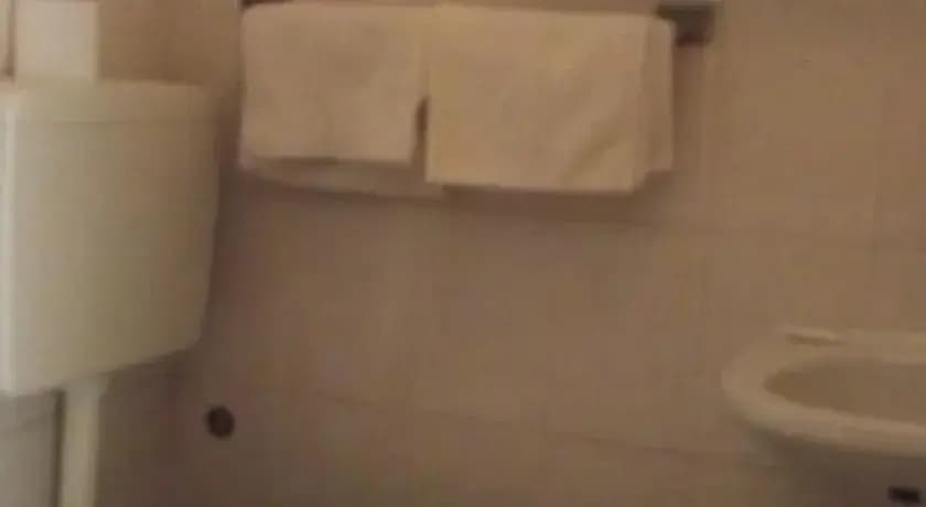 Hotel Merano - photo 8