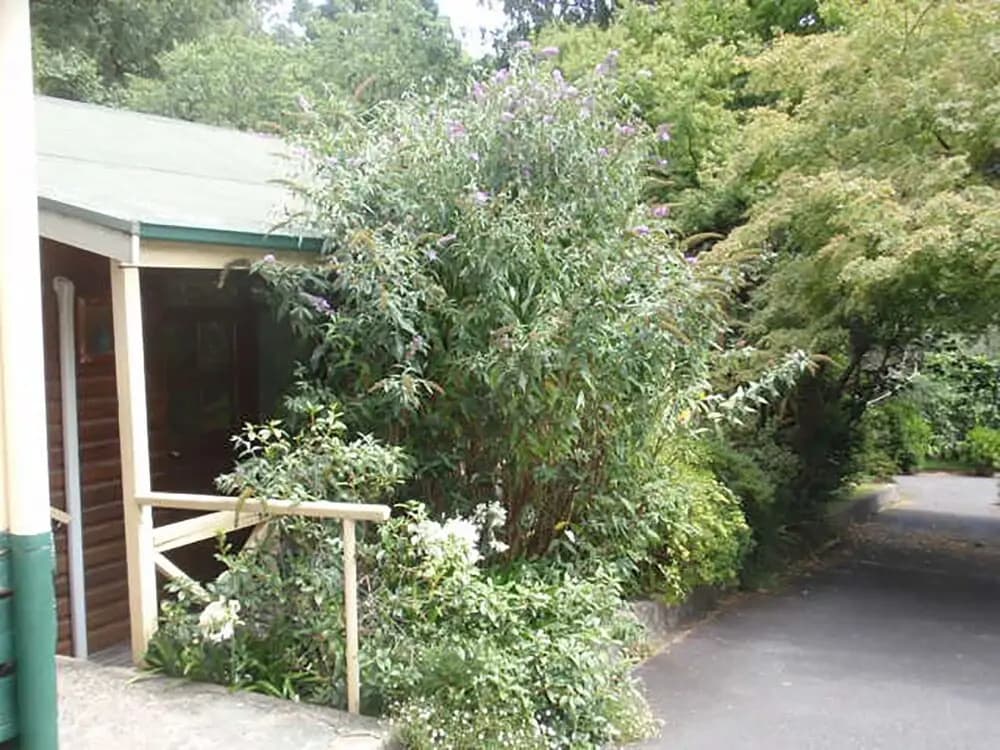 Warburton Lodge - photo 16