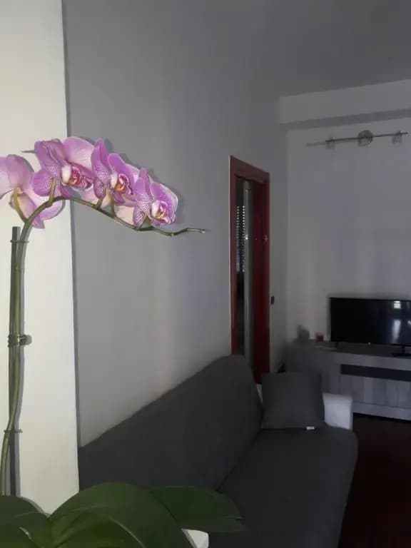 Valassina milano apartment - photo 5