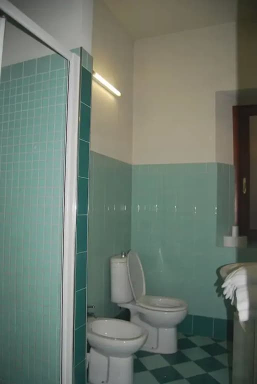 Hotel Alfa - photo 11