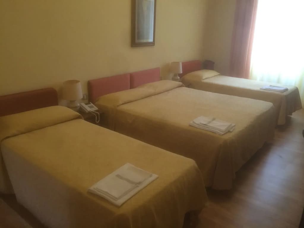 Hotel Villani - photo 6