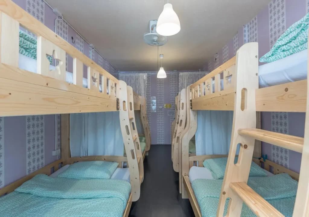 Tiger Lily Hostel - photo 2