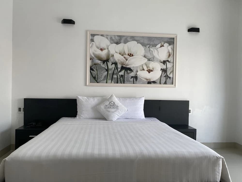 Levan Hotel - photo 7