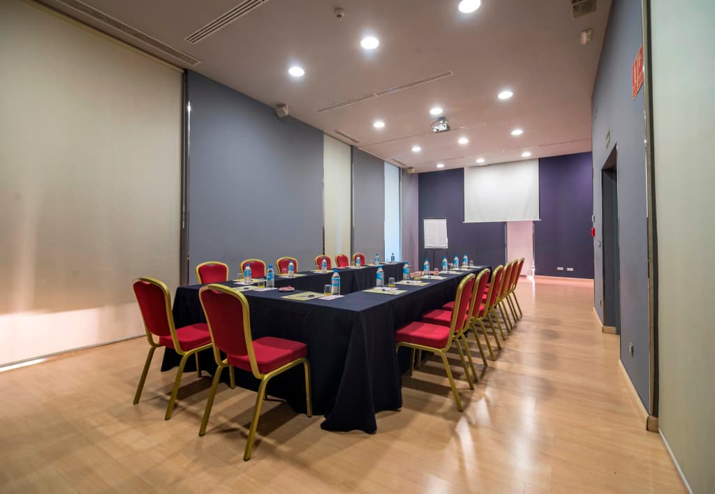 Petit Palace Triball Hotel - photo 18