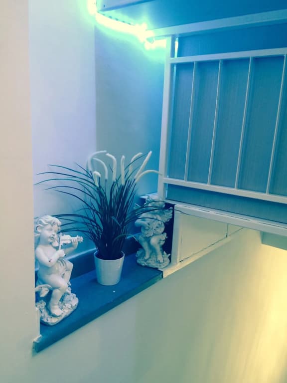 Casa Boss Oblivium - photo 13