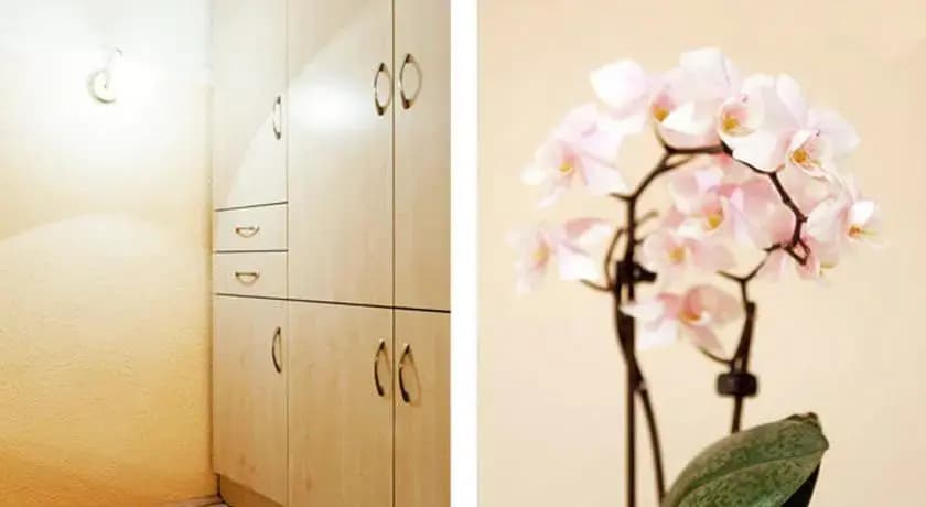 Gorgeous Flat Opera - photo 7