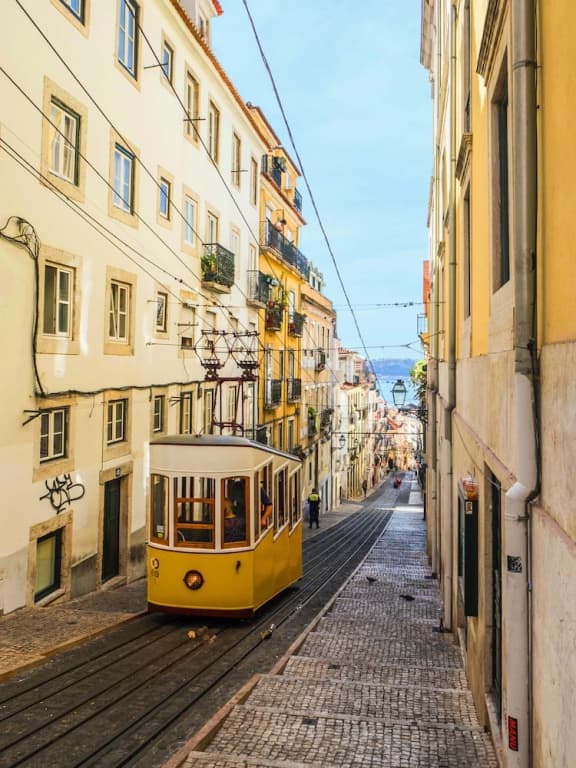 Bica Lovely Tram - photo 14