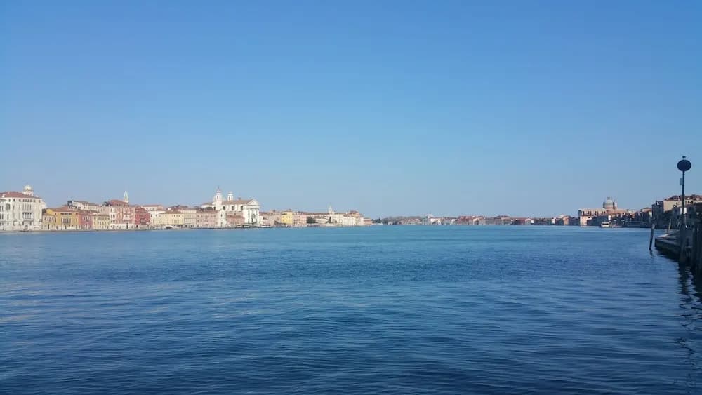 B&B Venice Home - photo 27