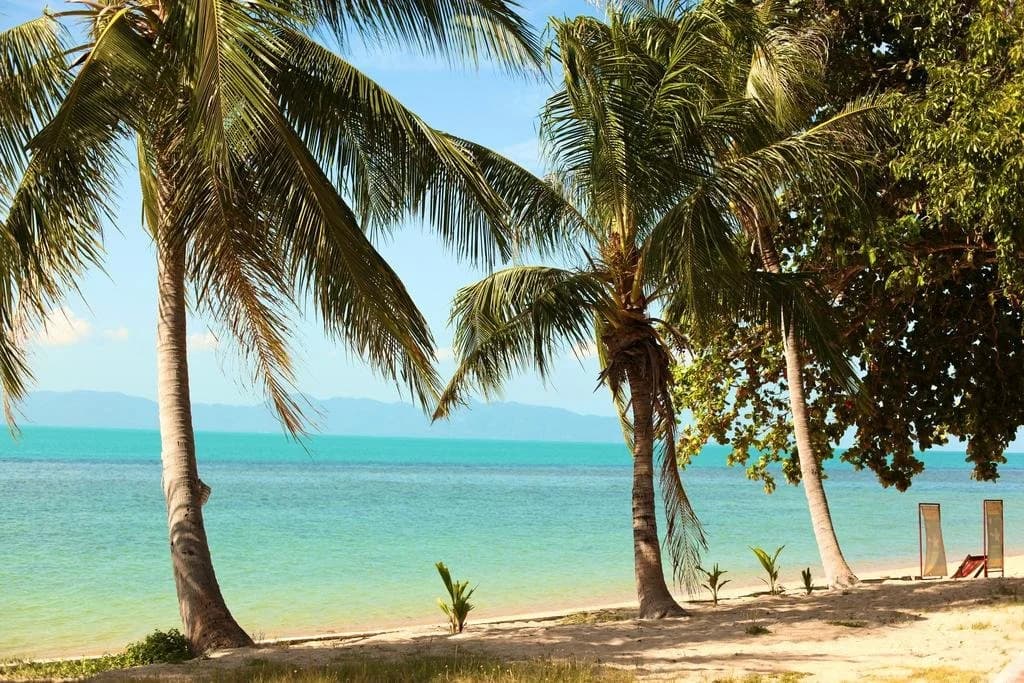 Health Oasis Resort - photo 13
