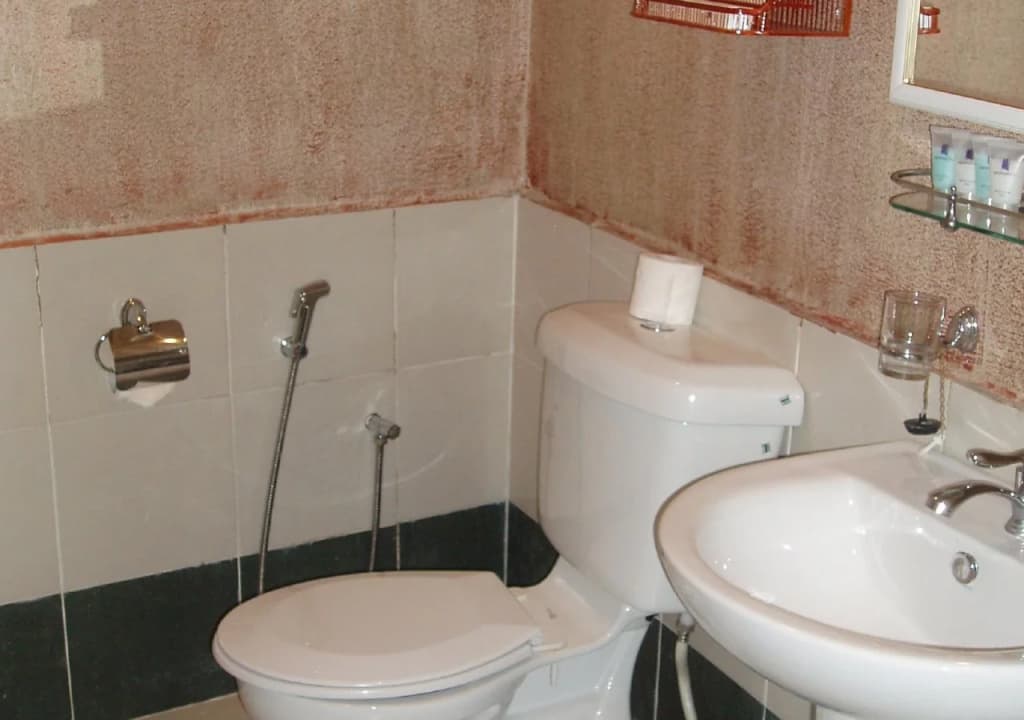 Anum Hotel - photo 4