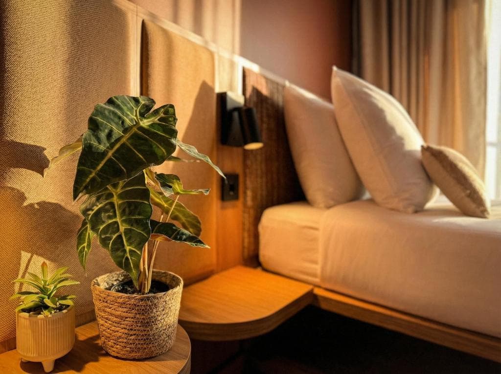 De Pijp Boutique Hotel - photo 15