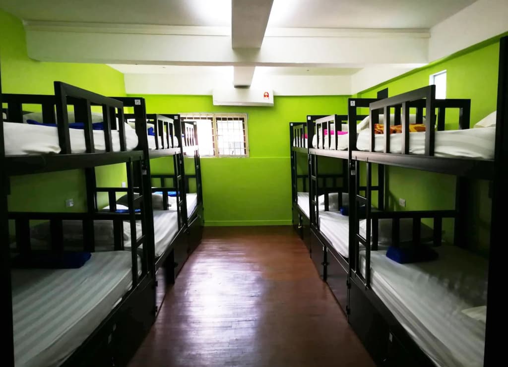 The Travel Hub Guesthouse - photo 13