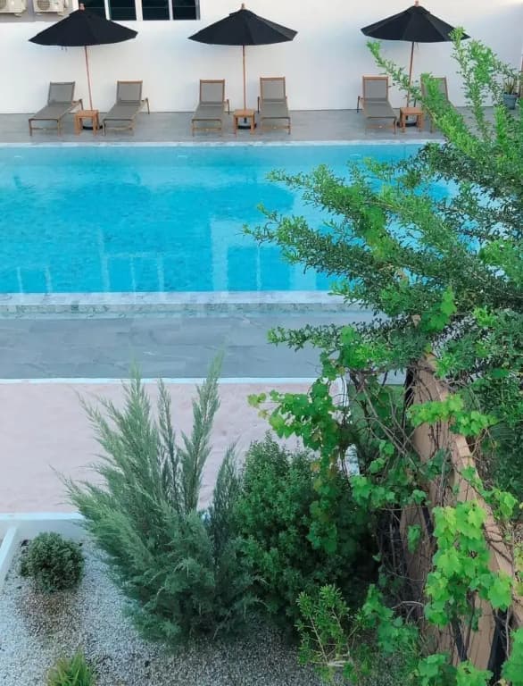 Sugar Beat Resort - photo 39