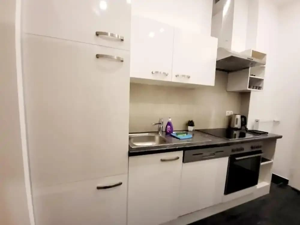 Neulerchenfelder City Apartment - photo 11