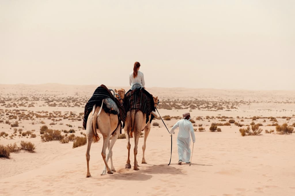 Al Wathba, a Luxury Collection Desert Resort & Spa, Abu Dhabi - photo 48