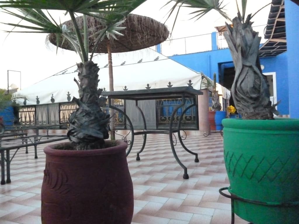 Riad Losra - photo 17