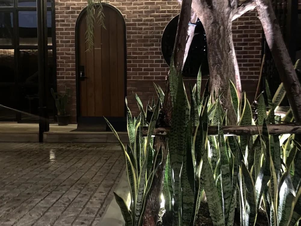 The Matta Boutique Hotel - photo 22