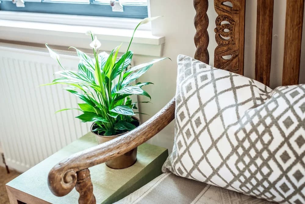 Our Eclectic Castle View Apartment - photo 3