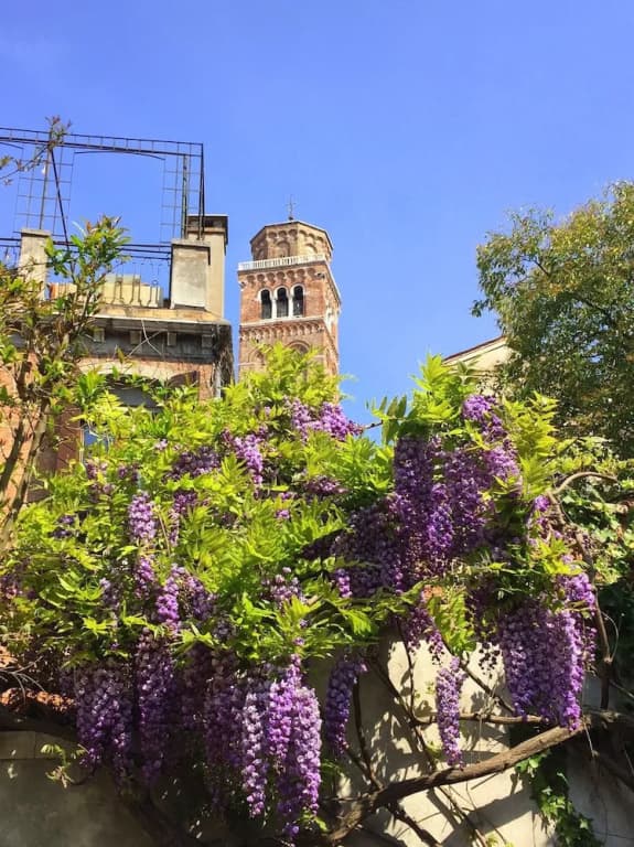 Primaluce Venice - photo 1