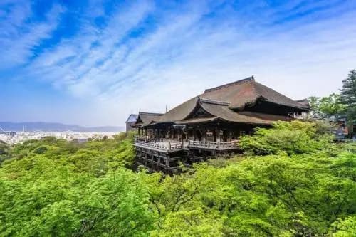 Kamo River Machiya Halo House - photo 9