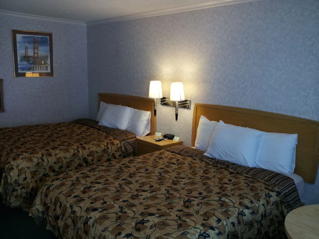 Castle Inn - photo 3