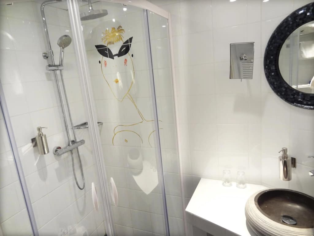 Hotel le Pavillon - photo 8