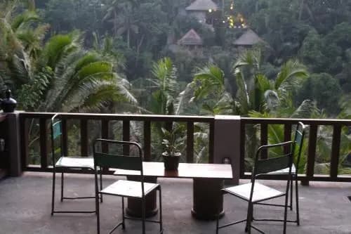 The Desa Ubud Villa - photo 47
