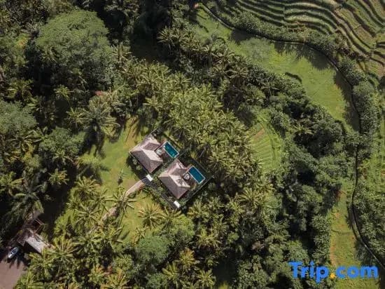 The Lanaya Villa - photo 7