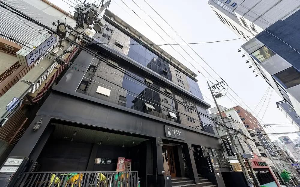 Shinchon Peter Cat - photo 37