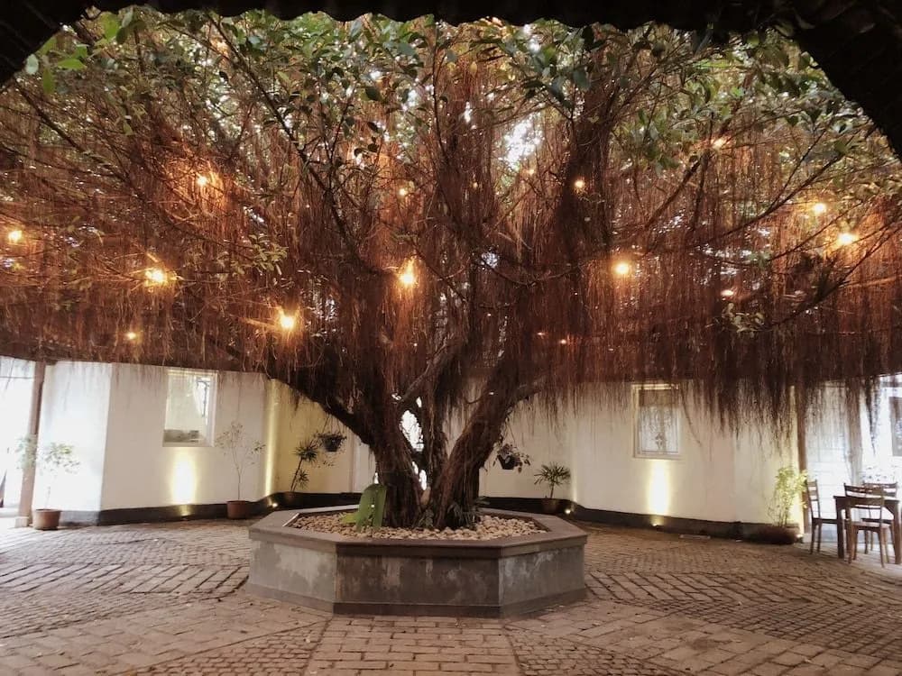 Artisan Villa Colombo - photo 15