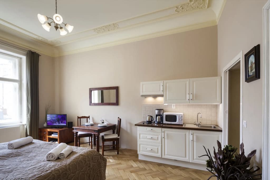 Apartments Dusní - photo 4