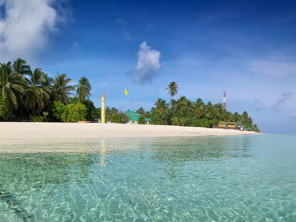 Thundi Sea View - photo 31