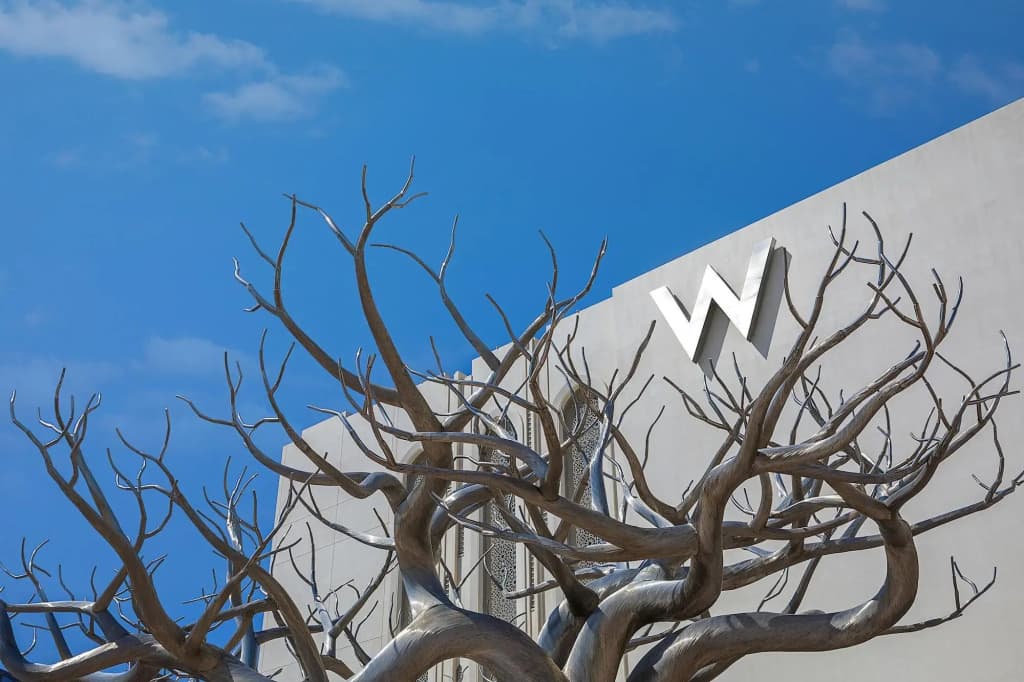 W Muscat Hotel - photo 8
