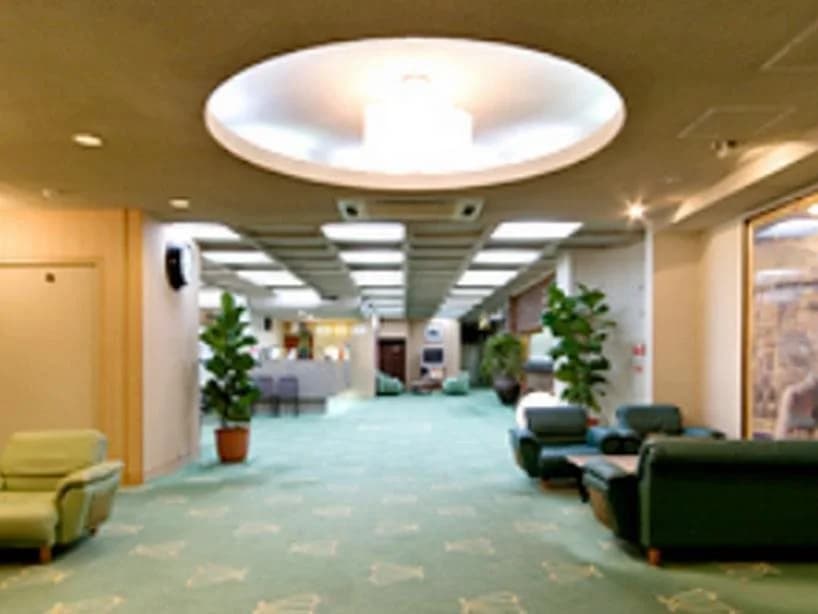 New Ginkaku Inn - photo 2