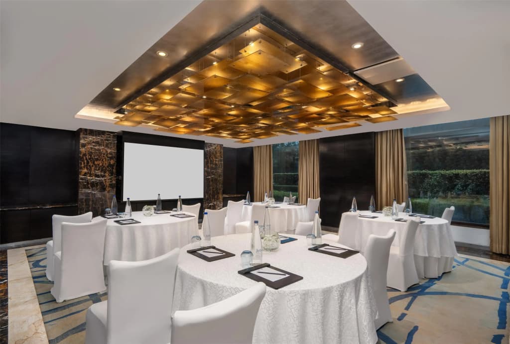 Radisson Blu Plaza Delhi Airport - photo 31