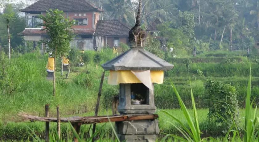 Swallow Guesthouse - photo 4