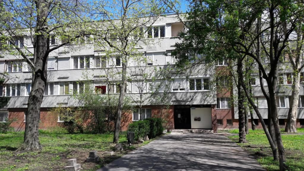 Greenapartman - photo 9