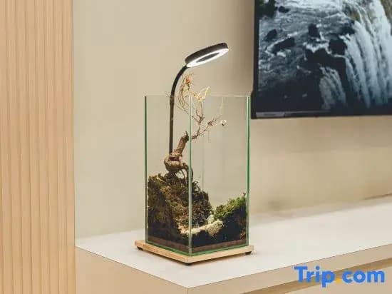 Sky88 Residence Johor Bahru - photo 6