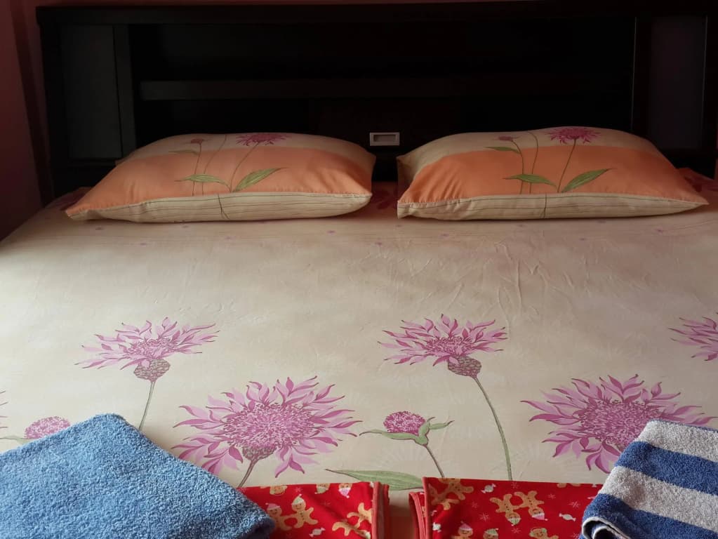 Peach Guesthouse - photo 3