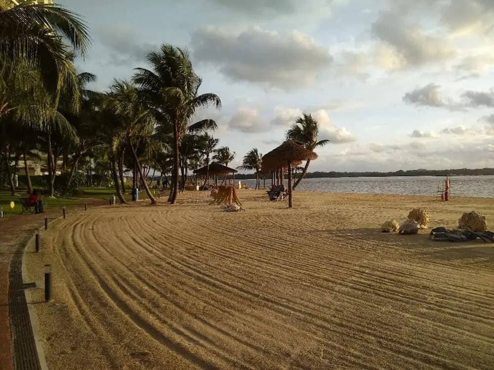 Tranquil Seaview @ Danga Bay - photo 21