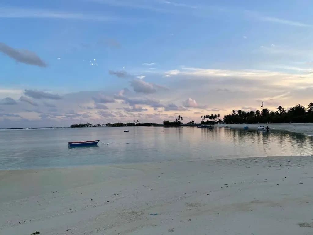 La Isla Tropica Hotel - photo 16