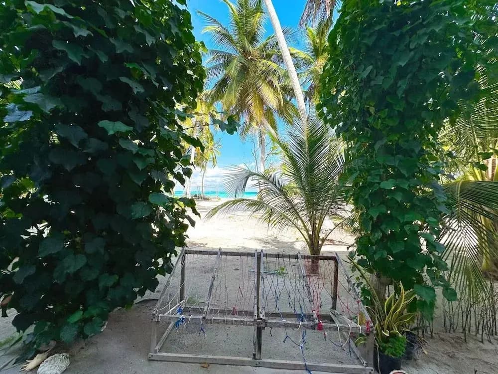 WhiteSand - photo 47