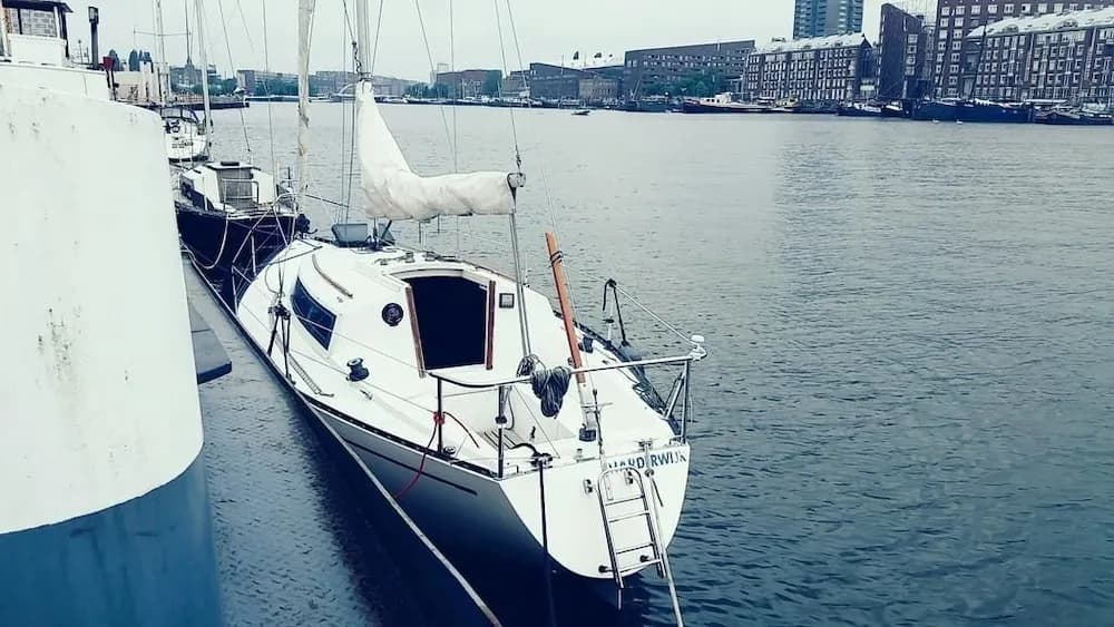 City Sailing - photo 9