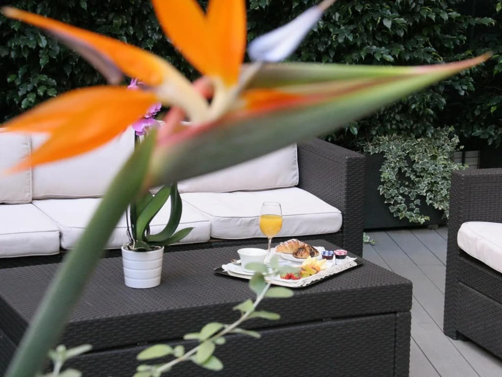 Anba Boutique - photo 13