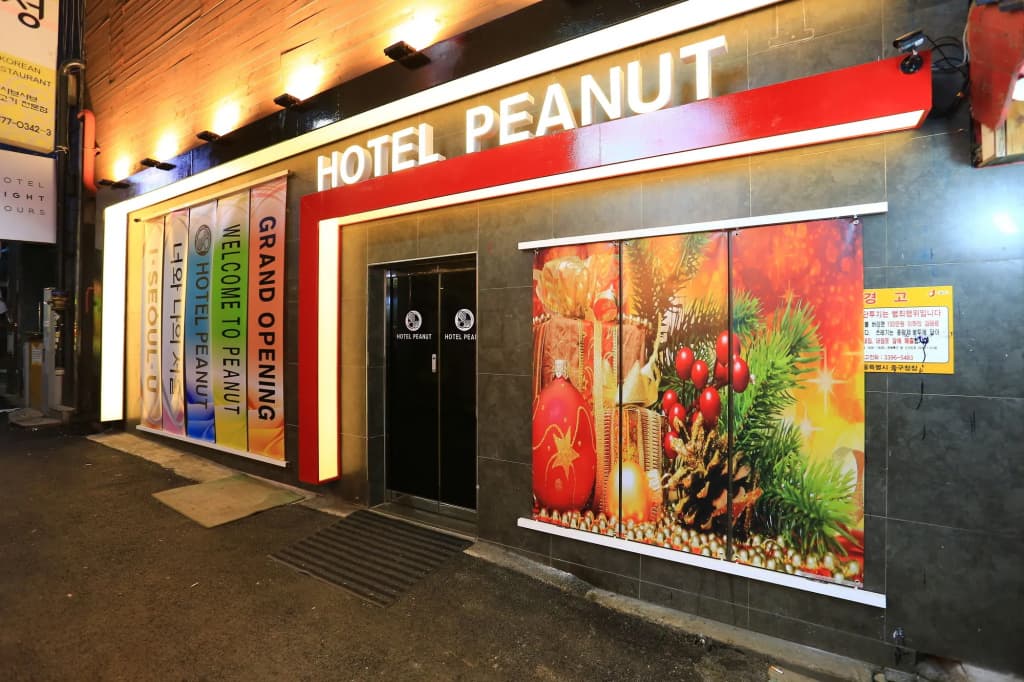 Peanut Hotel - main photo