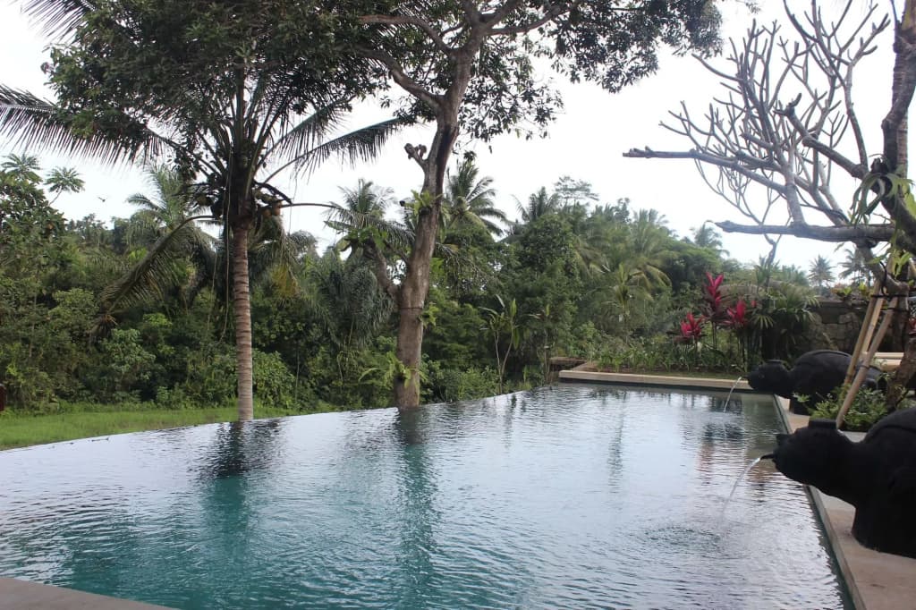 Dwaraka The Royal Villas Hotel - photo 20