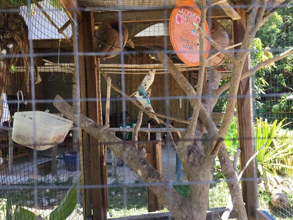 Klong Khong Garden - photo 11
